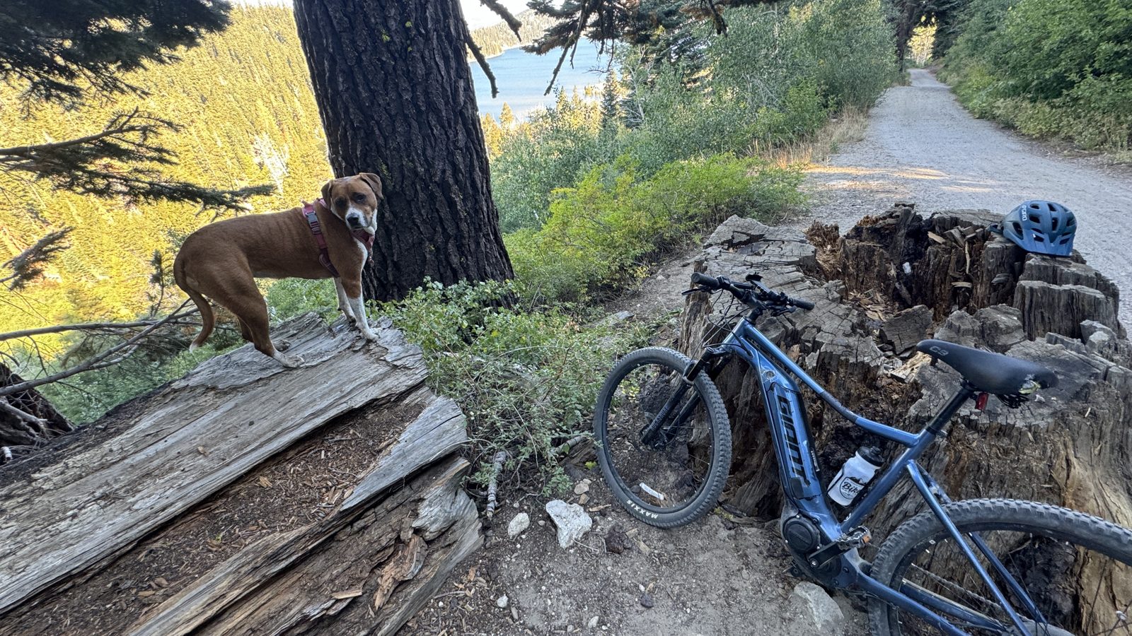 The overlook: Marley, the bike, and the road back down to Spooner.
