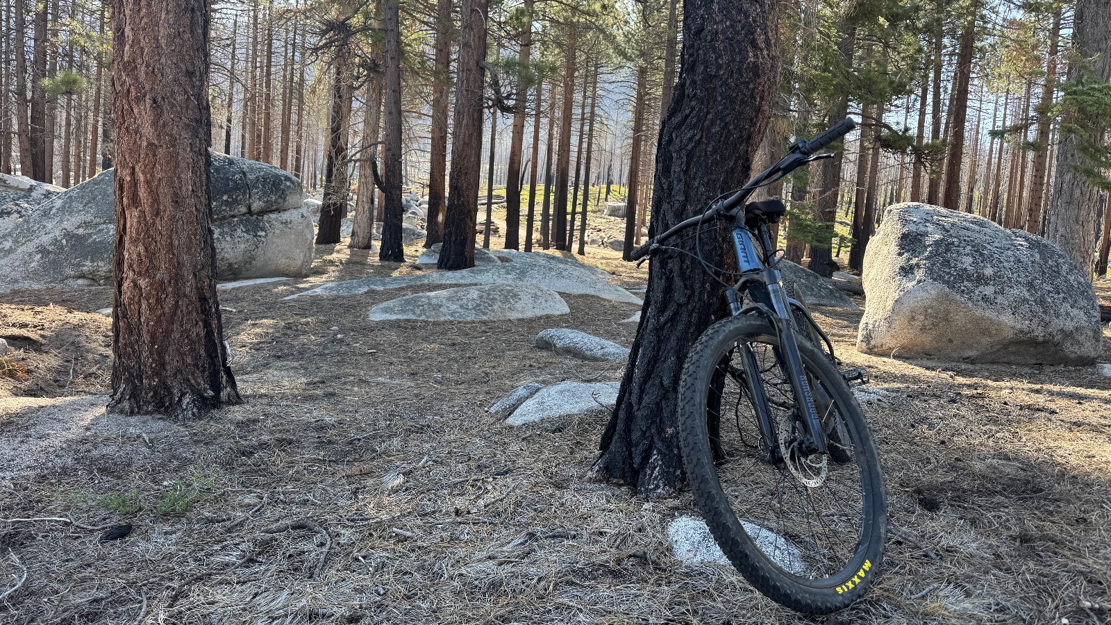 8:48. The bike against a pine, among granite boulders.