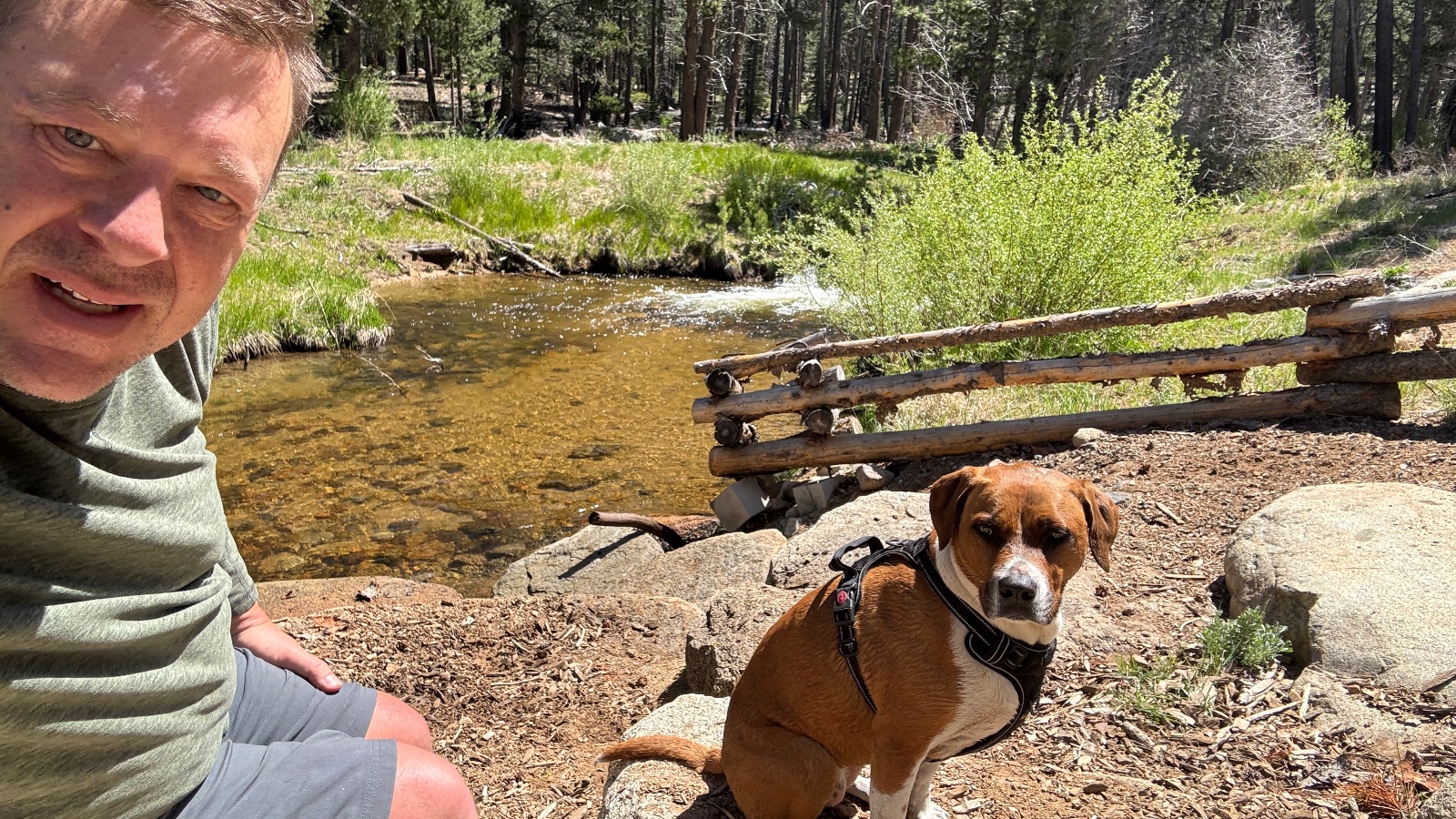 By the creek and the log fence, the dog sitting close.