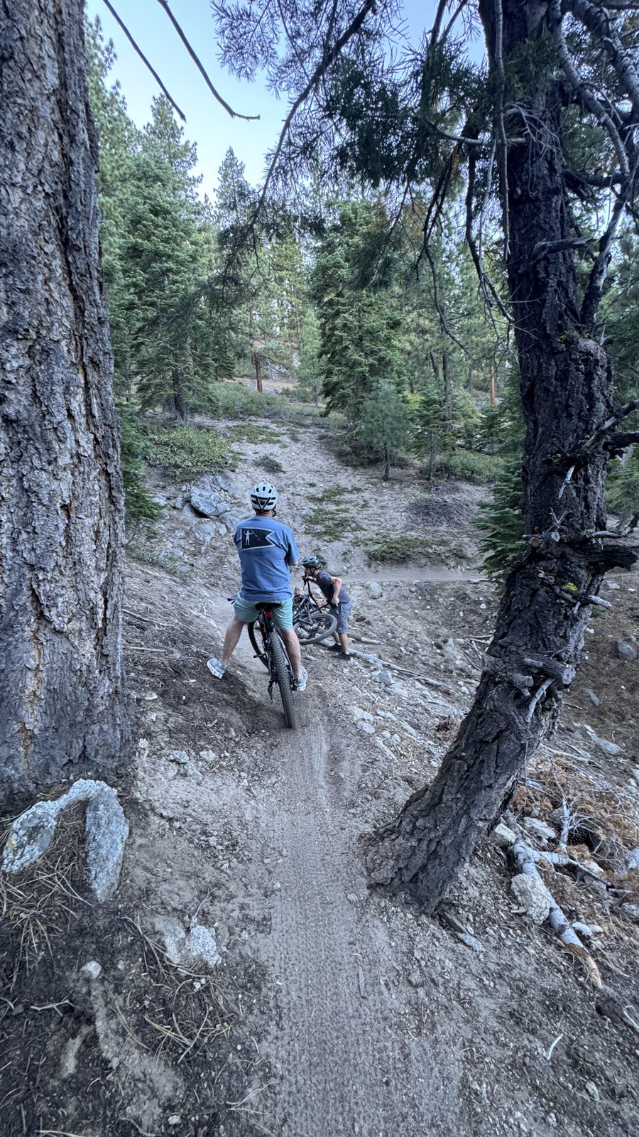 A breather, and the view: under the big pines on Clear Creek at 6:11.