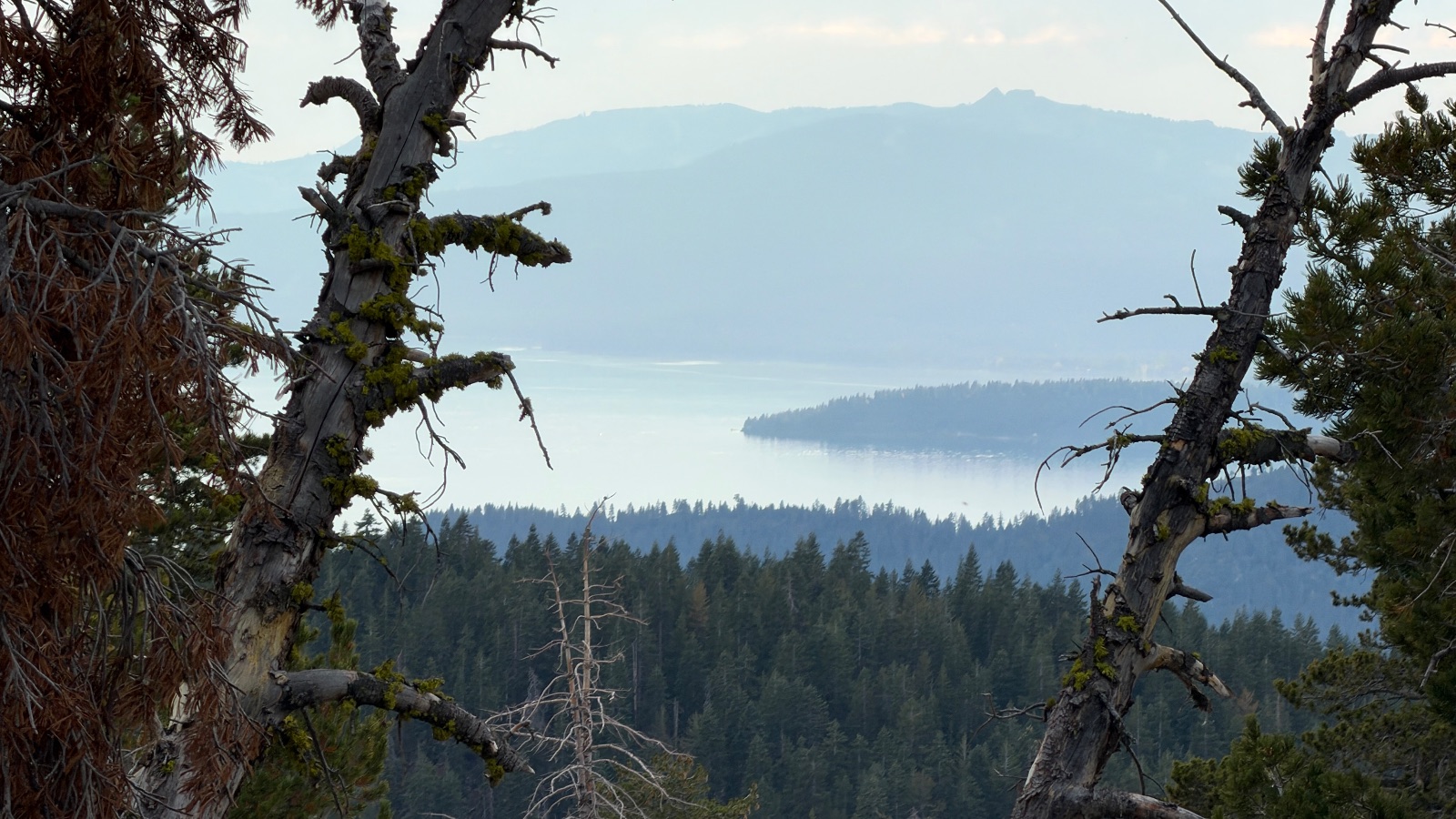 5:28 pm. Lake Tahoe between two old snags, a forested point reaching into the water.