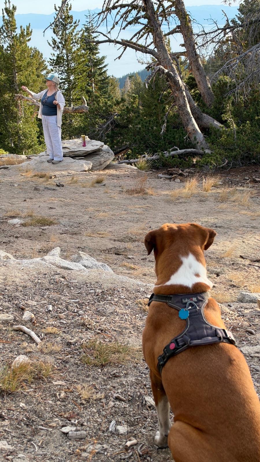 5:42 pm. Marley watches from the dirt while she stands on the rock, arms out.