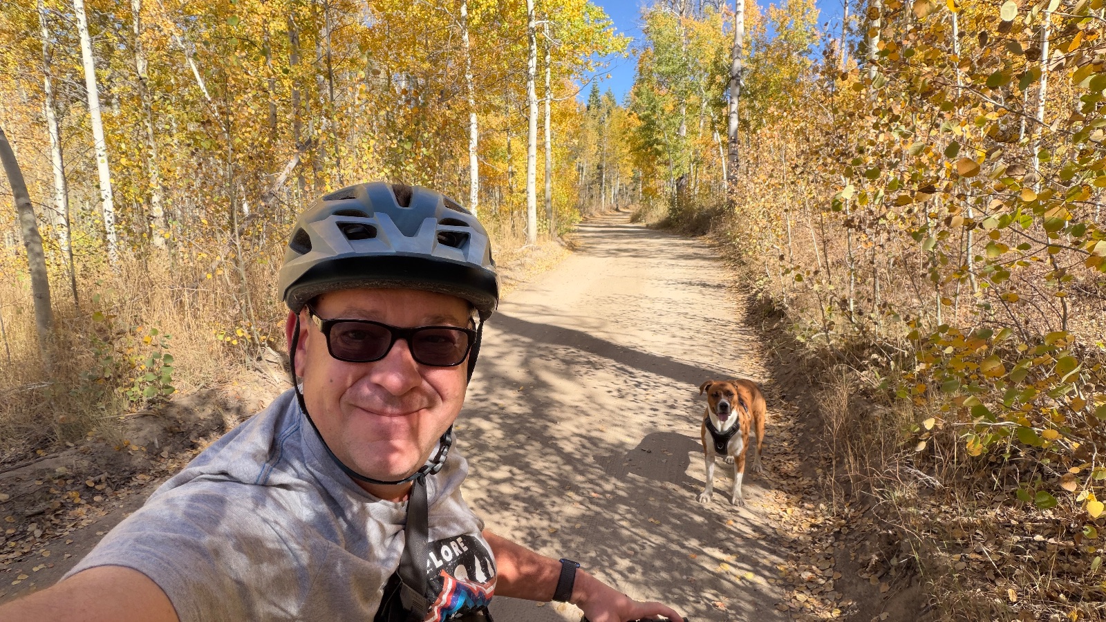 Helmet on, aspens on both sides, and the dog close behind.