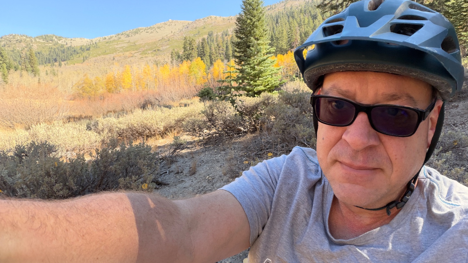 11:01. Higher up: a sage meadow, gold aspens below the ridge.