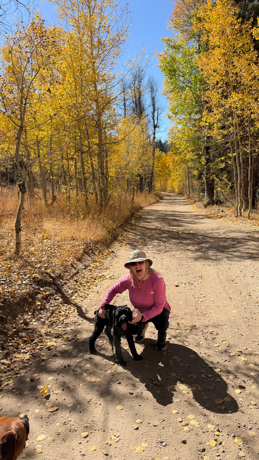 A black dog and a big smile on the leaf-covered doubletrack.