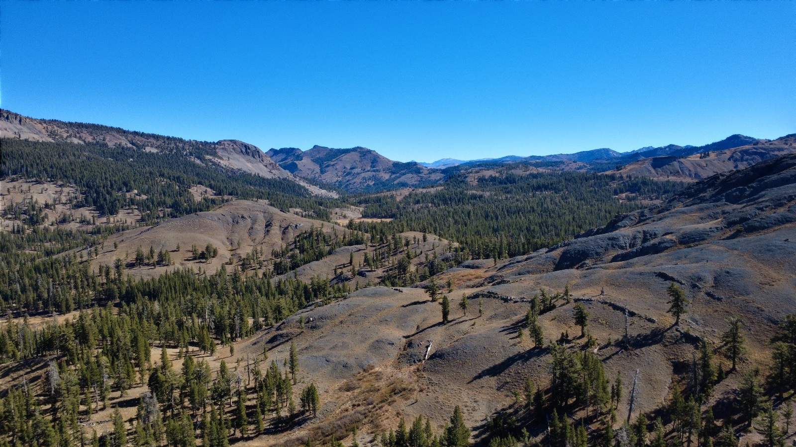 Sage slopes, scattered pines and ridges under a clear sky, 11:31.