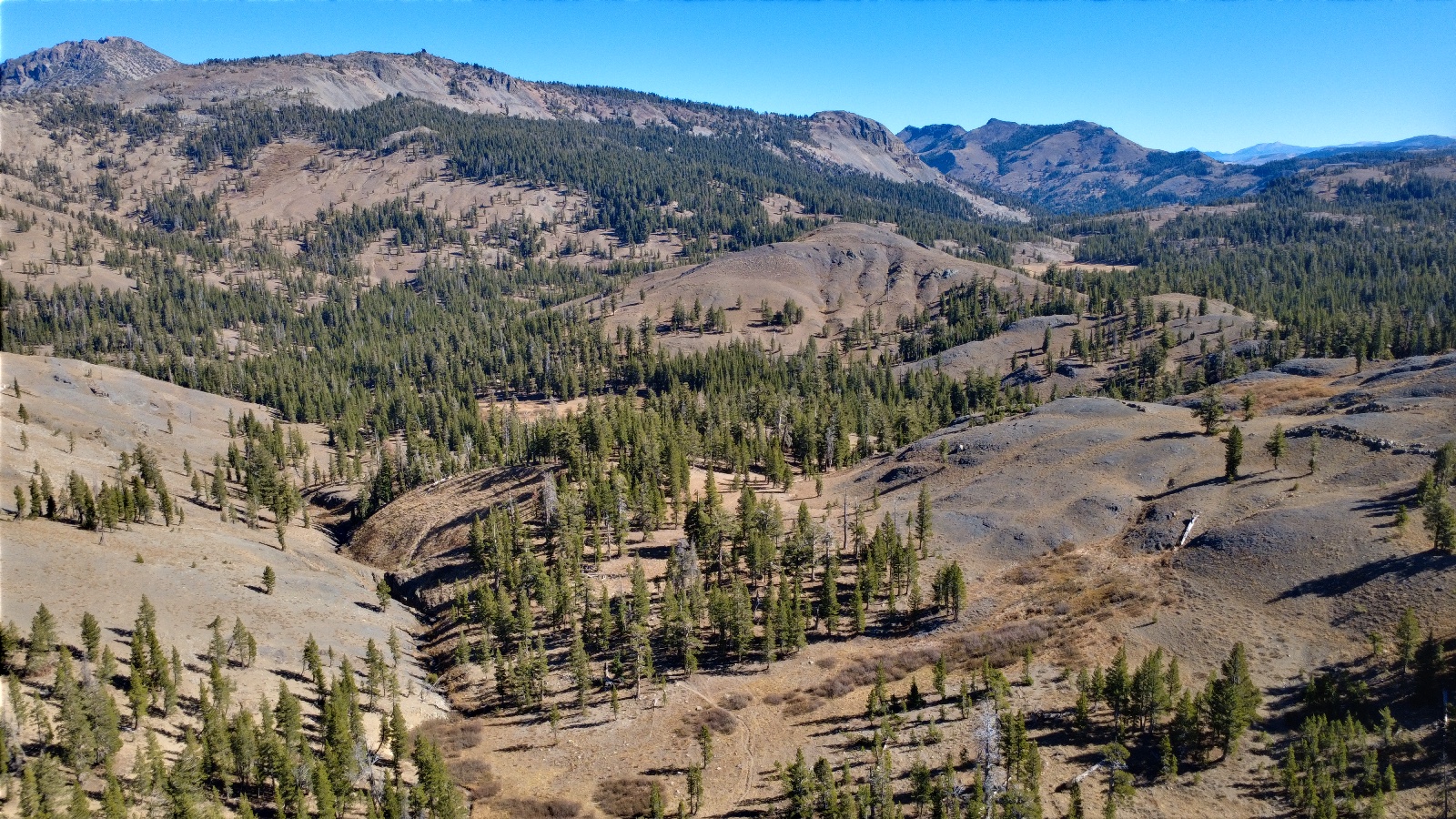A dry draw running down through the pines toward the far ridges.
