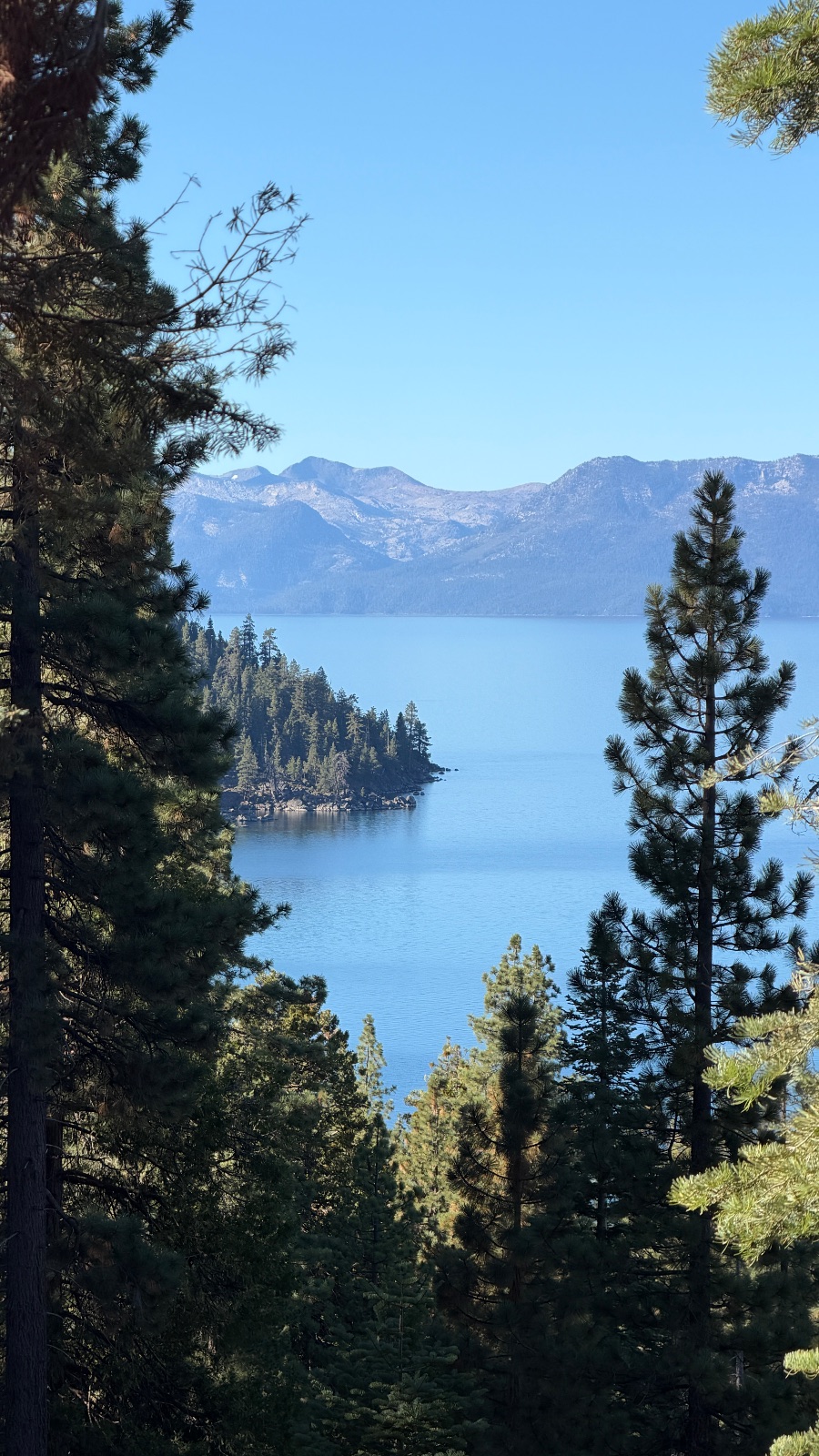 9:43. First look at the lake through the pines, with a wooded point and the far shore beyond.
