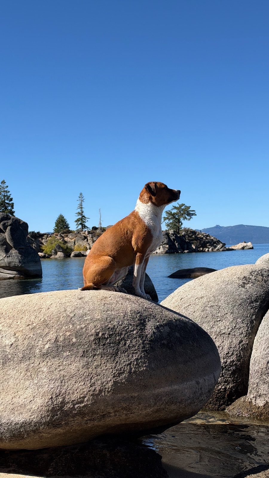 Then sitting, looking out over the water.