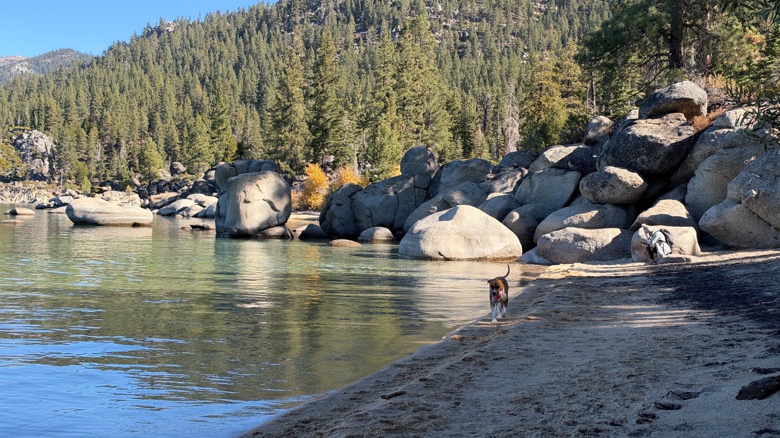 Marley on the sand below the granite boulders.
