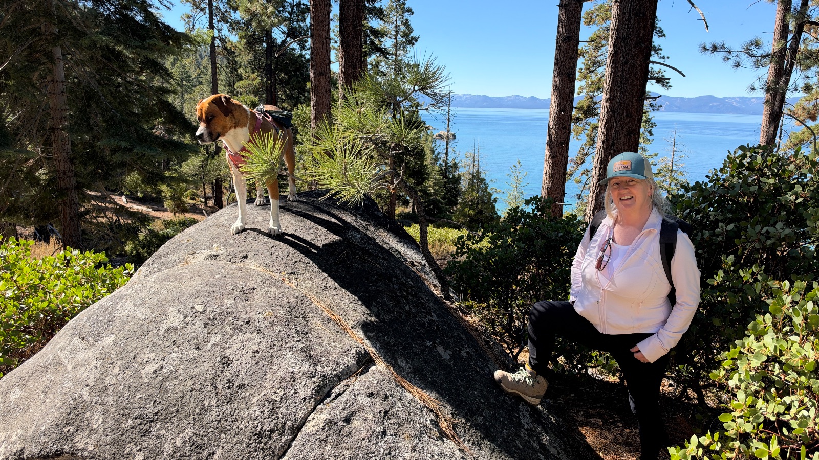 Helena and Marley posing with a tree growing out of a granite boulder.