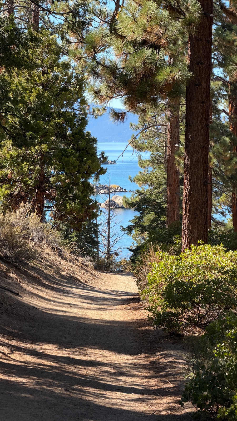 The lake in the distance.